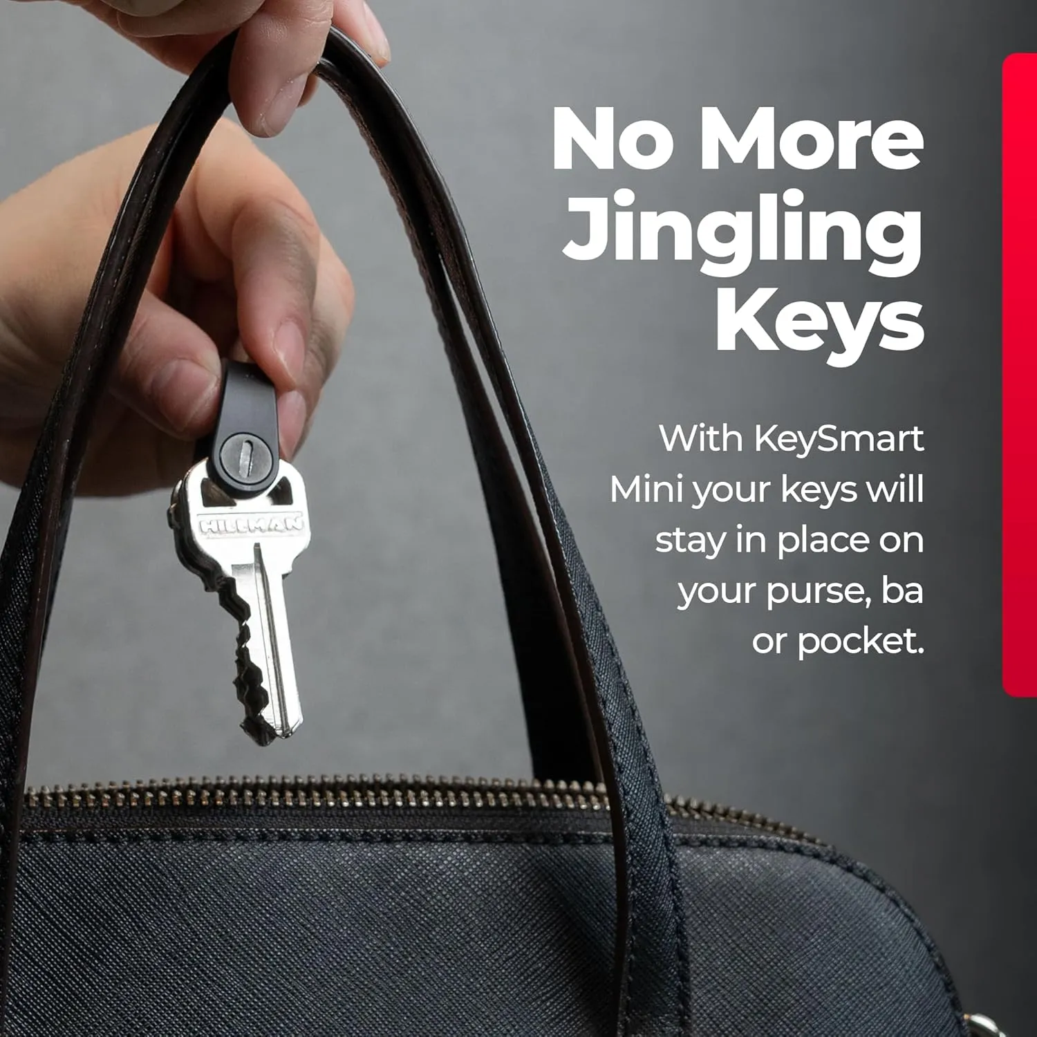 KeySmart Mini Keychain Key Holder - Compact Key Organizer for Key Chain, EDC Key Chains, Key Ring for Car Fobs Keychains