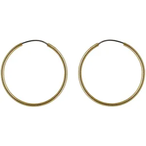 PILGRIM Small Sanne Hoop Earrings