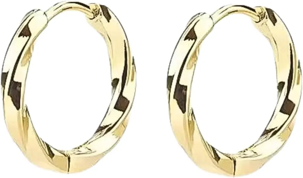 QueenBee 925 Sterling Silver & Gold-Plated Twisted Small Hoop Earrings  Hypoallergenic, Minimalist, Lightweight Jewelry for Women  Classic Everyday Hoops