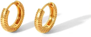 Round Hoop Earrings Minimalist Stripe Textured Small Stainless Steel Huggie Hoops Earrings Geometric Vintage Disc Circle Cartilage Earrings for Women